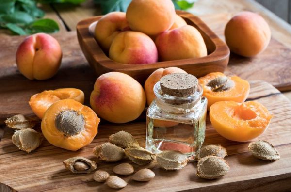 apricot oil